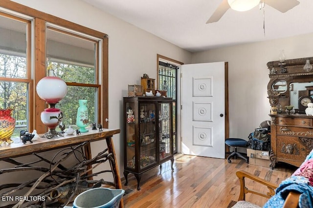 office space featuring ceiling fan and light hardwood / wood-style flooring