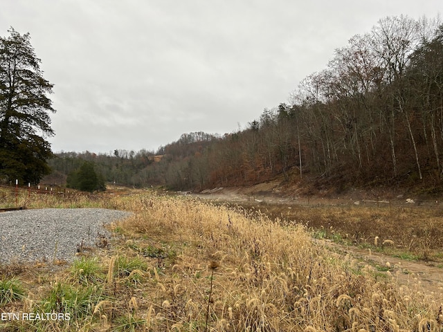 TBD Trent Valley Rd, Sneedville TN, 37869 land for sale