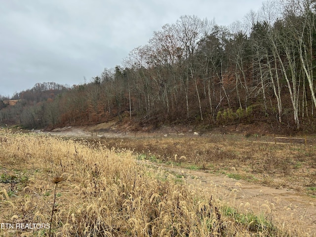 Listing photo 2 for TBD Trent Valley Rd, Sneedville TN 37869