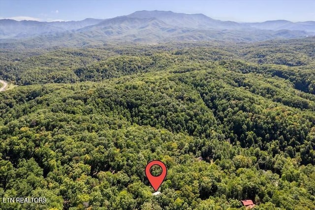 bird's eye view featuring a mountain view