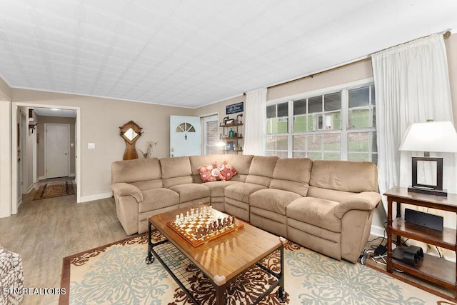 living room featuring hardwood / wood-style floors and ornamental molding