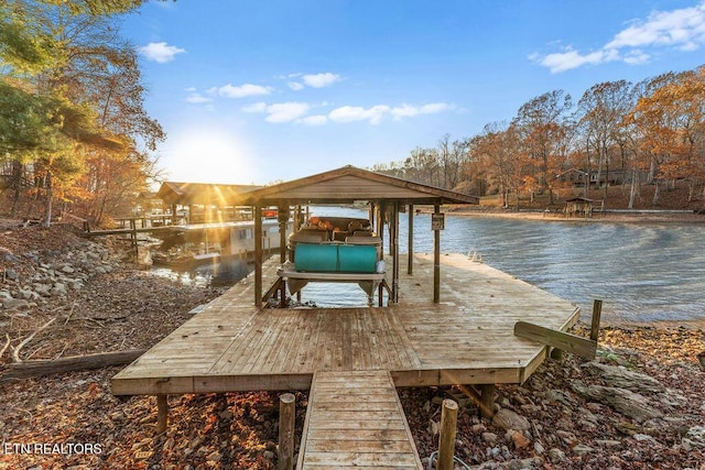 dock area with a water view