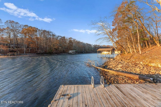 dock area with a water view