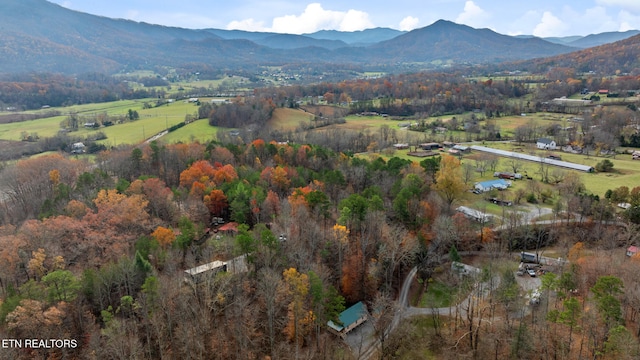 birds eye view of property featuring a mountain view