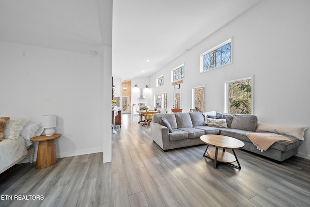 living room featuring light hardwood / wood-style floors