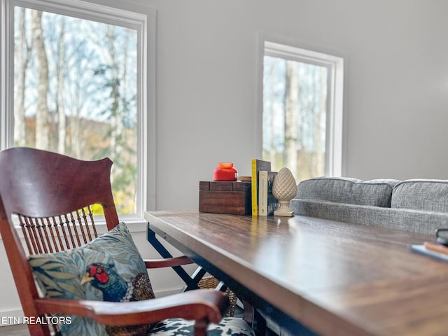 dining space featuring plenty of natural light