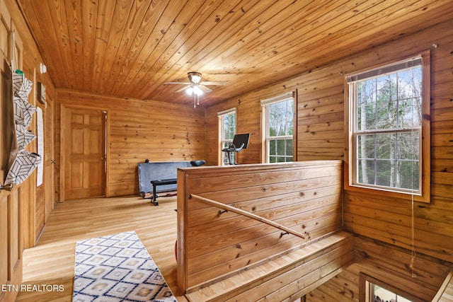 bedroom with light hardwood / wood-style floors, wooden ceiling, wooden walls, and multiple windows