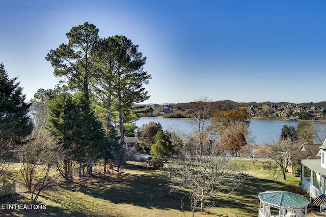 Listing photo 3 for 307 Southshore Dr, Greenback TN 37742