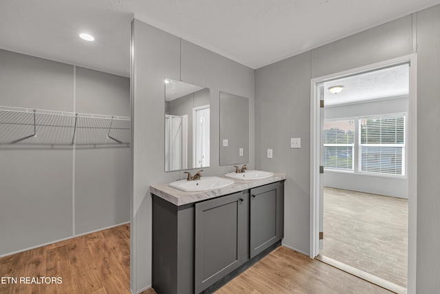 bathroom with vanity and hardwood / wood-style flooring