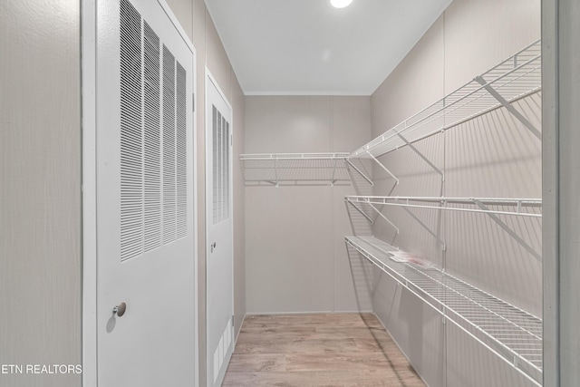 walk in closet with light hardwood / wood-style floors