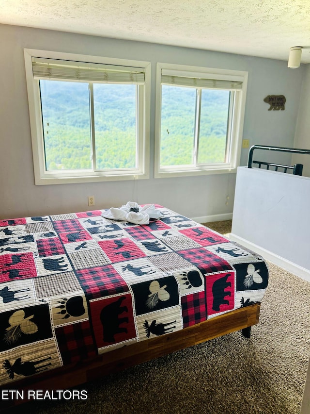 carpeted bedroom with multiple windows and a textured ceiling