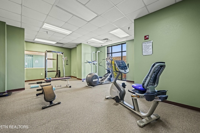 gym featuring carpet flooring and a paneled ceiling