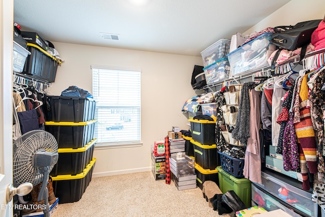 spacious closet with light colored carpet