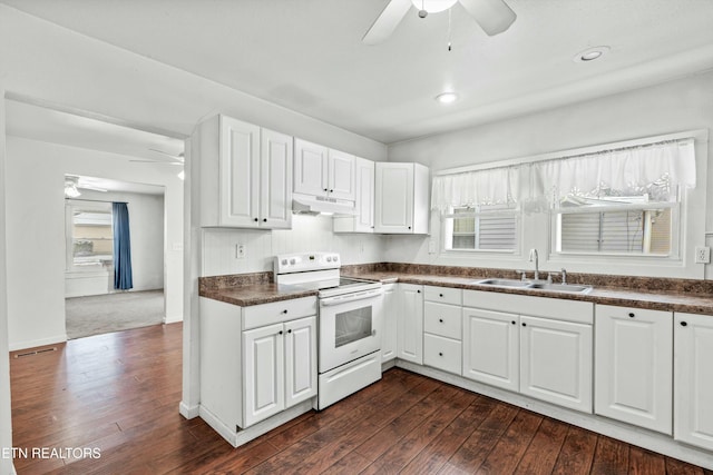 kitchen featuring dark wood-type flooring, a wealth of natural light, sink, and white electric range oven