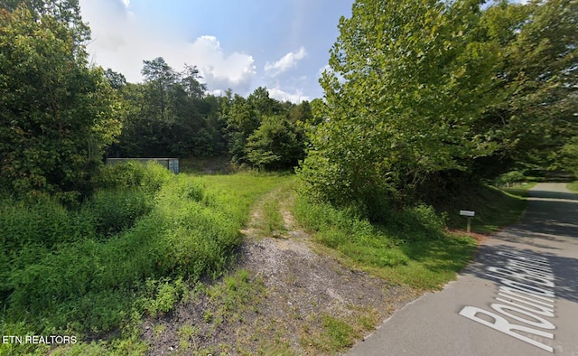 1644 Round Barn Rd, Powder Springs, TN 37848 - photo 1