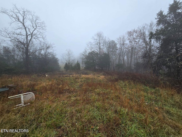 1644 Round Barn Rd, Powder Springs, TN 37848 - photo 3