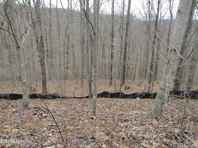 LOT60 W Bobcat Ln, Wilder TN, 38589 land for sale