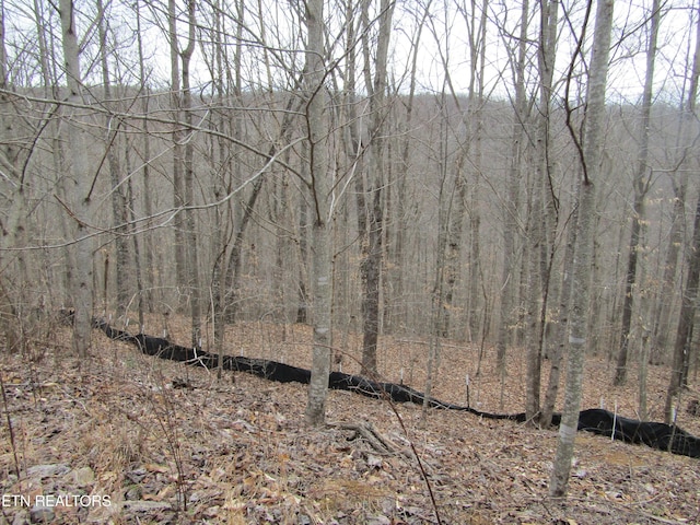 Listing photo 2 for LOT60 W Bobcat Ln, Wilder TN 38589