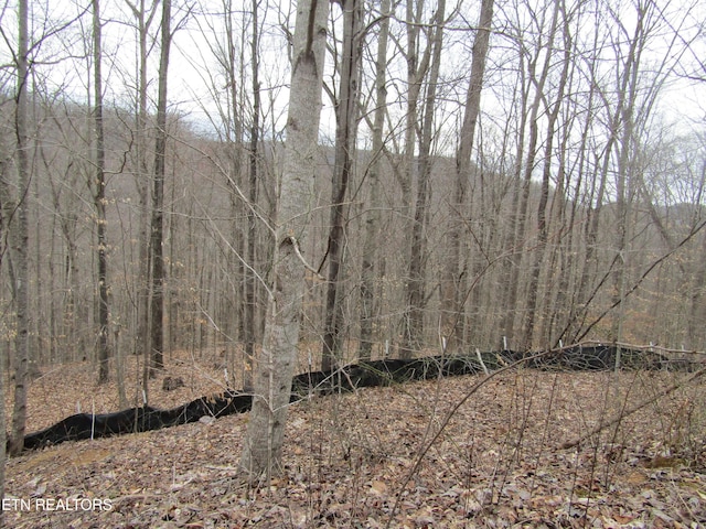 Listing photo 3 for LOT60 W Bobcat Ln, Wilder TN 38589