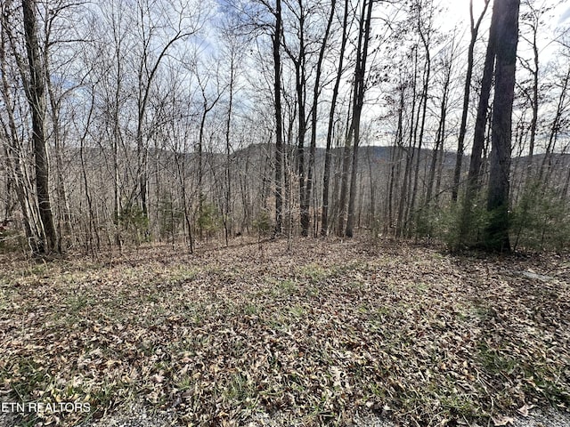 Listing photo 2 for Cheyenne Dr, Jamestown TN 38556