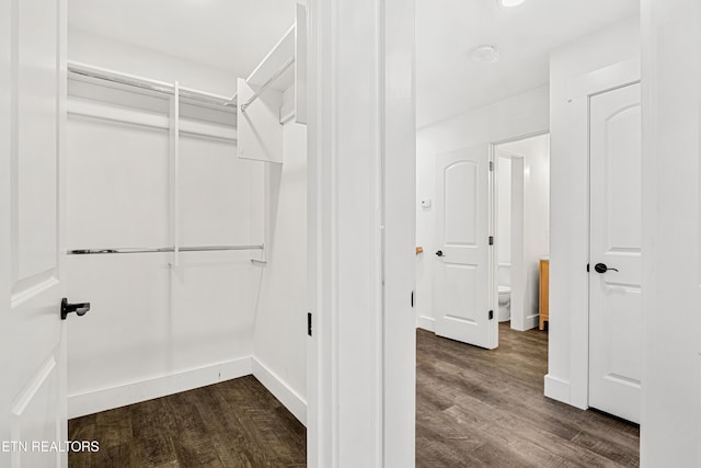 walk in closet featuring dark wood-style flooring