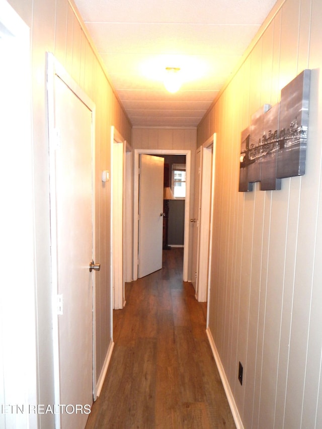 hallway with wood walls and dark wood-type flooring