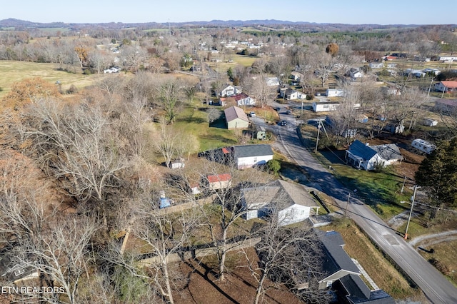 bird's eye view