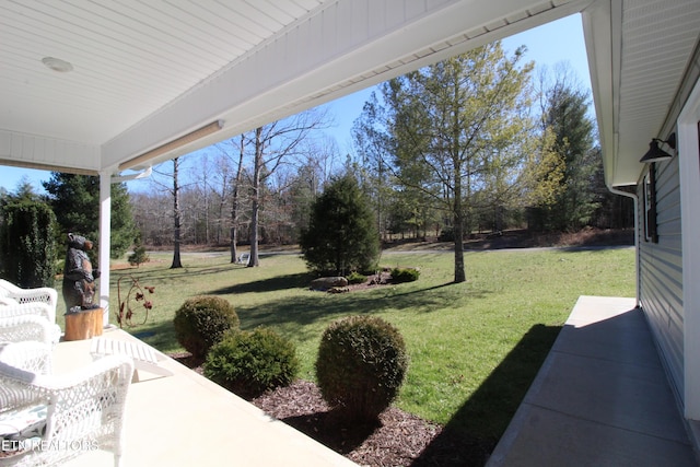 view of yard with a patio area