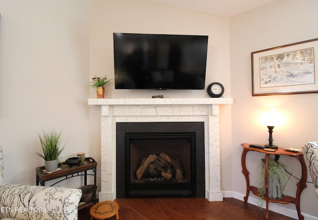 room details featuring a fireplace, baseboards, and wood finished floors