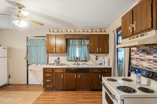 kitchen with backsplash, sink, white appliances, and light hardwood / wood-style flooring