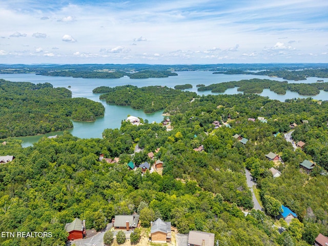 2626 Camden Way, Sevierville, TN 37876 - bird's eye view of a heavily wooded area and a large body of water