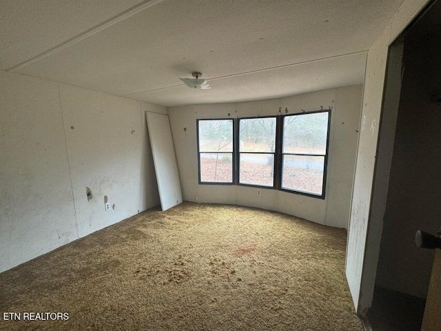 unfurnished room with carpet