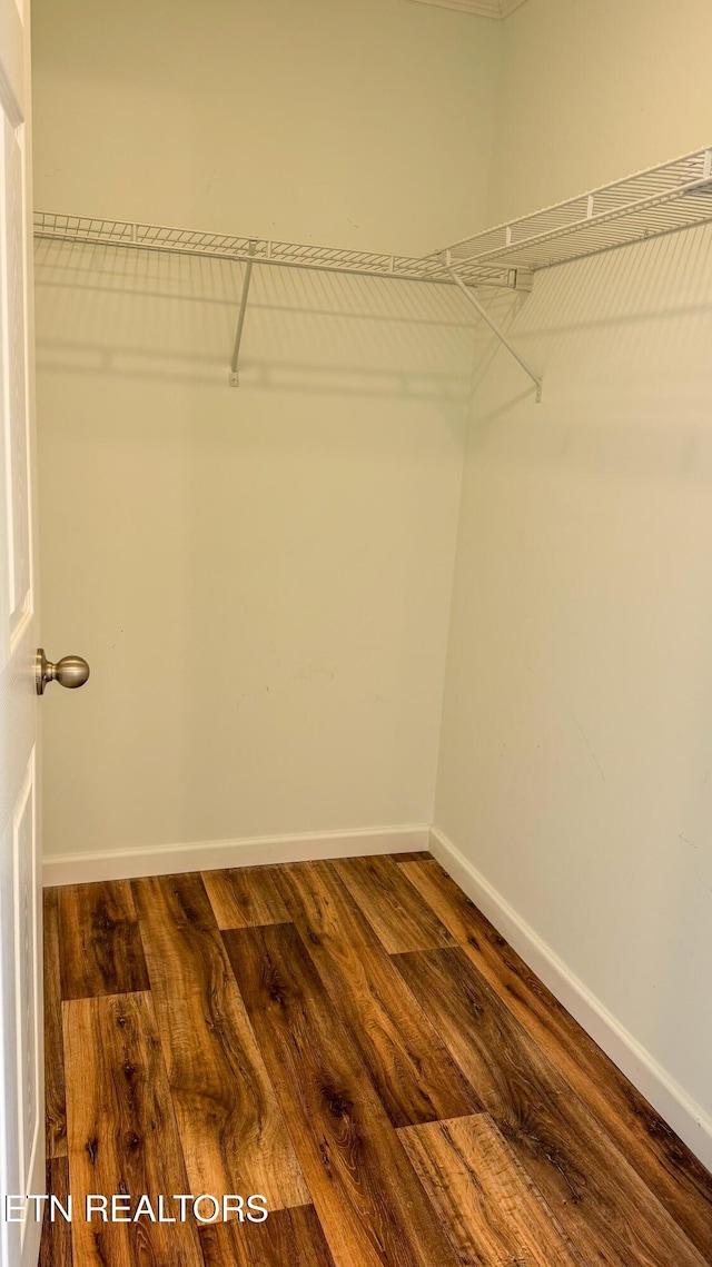 spacious closet featuring hardwood / wood-style floors