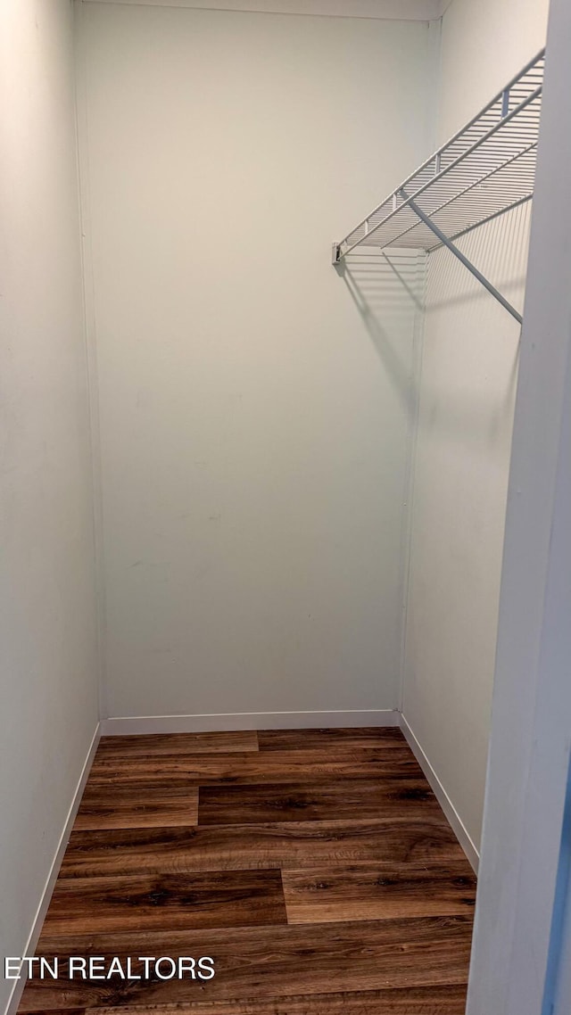 walk in closet featuring dark hardwood / wood-style floors