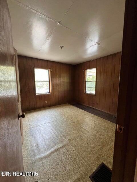 unfurnished room with a wealth of natural light, light colored carpet, and wood walls