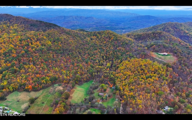 577 Thomas Loop Rd, Sevierville, TN 37876 - photo 9