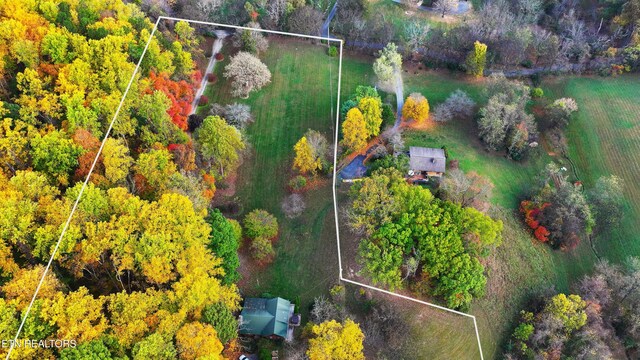 577 Thomas Loop Rd, Sevierville, TN 37876 - photo 7