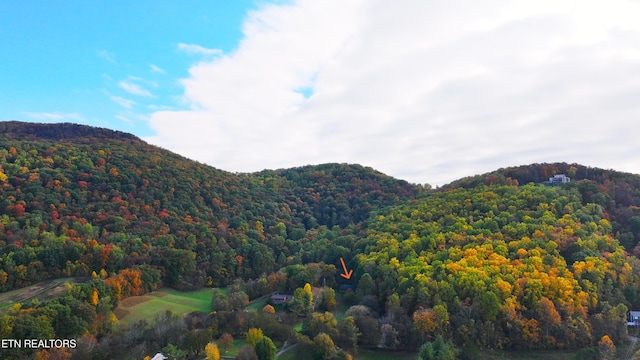 577 Thomas Loop Rd, Sevierville, TN 37876 - photo 46