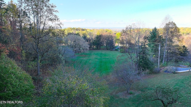 577 Thomas Loop Rd, Sevierville, TN 37876 - photo 36
