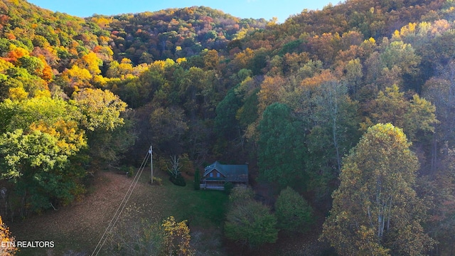 577 Thomas Loop Rd, Sevierville, TN 37876 - photo 6