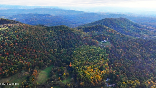 577 Thomas Loop Rd, Sevierville, TN 37876 - photo 48