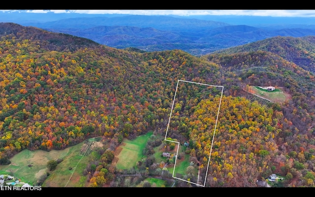 577 Thomas Loop Rd, Sevierville, TN 37876 - photo 10