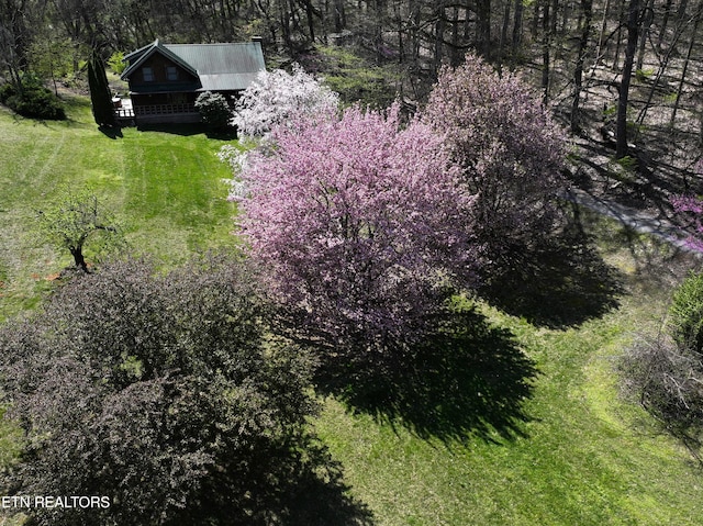 577 Thomas Loop Rd, Sevierville, TN 37876 - photo 50