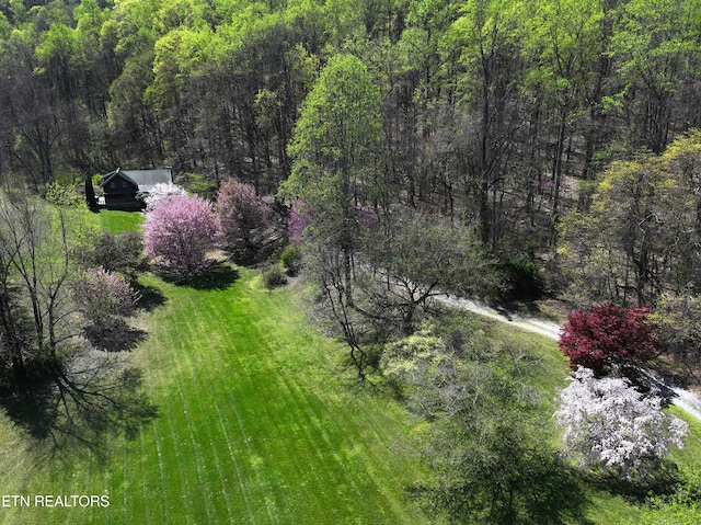 577 Thomas Loop Rd, Sevierville, TN 37876 - photo 51