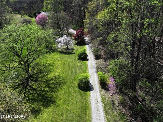 577 Thomas Loop Rd, Sevierville, TN 37876 - photo 52