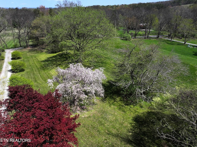 577 Thomas Loop Rd, Sevierville, TN 37876 - photo 53