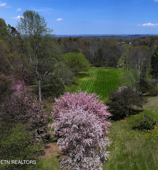 577 Thomas Loop Rd, Sevierville, TN 37876 - photo 54