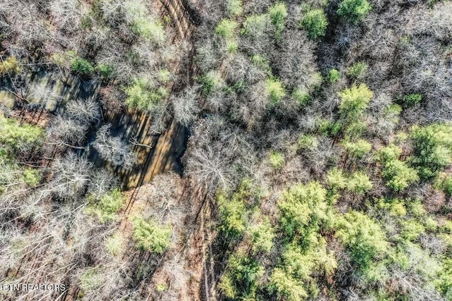 Nashville Ave, Deer Lodge TN, 37726 land for sale