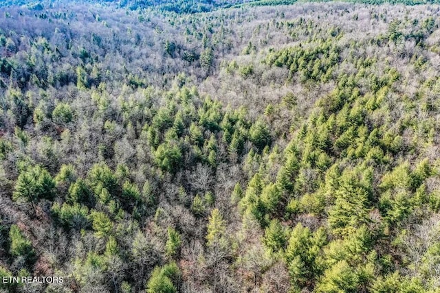 Nashville Ave, Deer Lodge, TN 37726 - photo 4