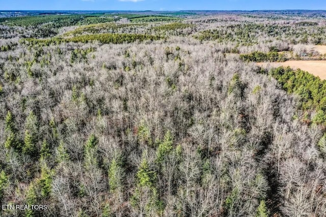 Nashville Ave, Deer Lodge, TN 37726 - photo 5